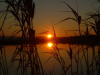 le m�me soleil derri�re les canisses