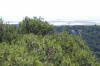 Vue panoramique de la chapelle, les �tangs de Gruissan dans le fond