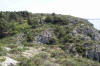 notez l'inclinaison des pins d�e � la constance du vent...